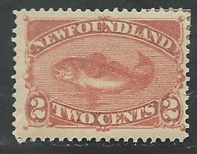 Newfoundland 48  Mint    1880-96   PD