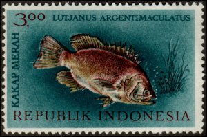 Indonesia 591 - Mint-H - 3r Mangrove Red Snapper (1963) (cv $0.75)