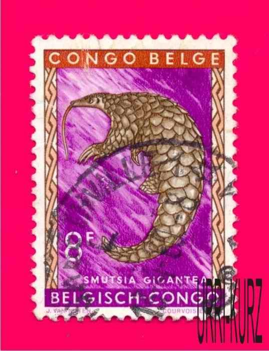 BELGIUM CONGO 1959 Nature Fauna Animals Reptile Giant lizard 1v Sc316 Mi353 Used