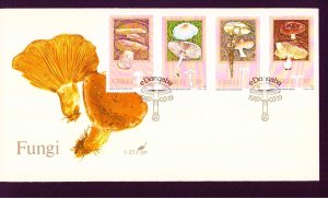 South Africa Ciskei 1 02-105   Edible Mushrooms Plants FDC