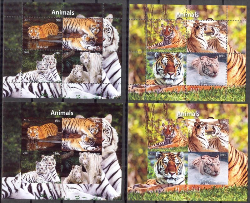 Malawi 2011 Tigers 4 sheets perf. + Imperf. MNH Cinderella {s014}