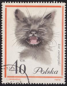 Poland 1217 European Cats 1964