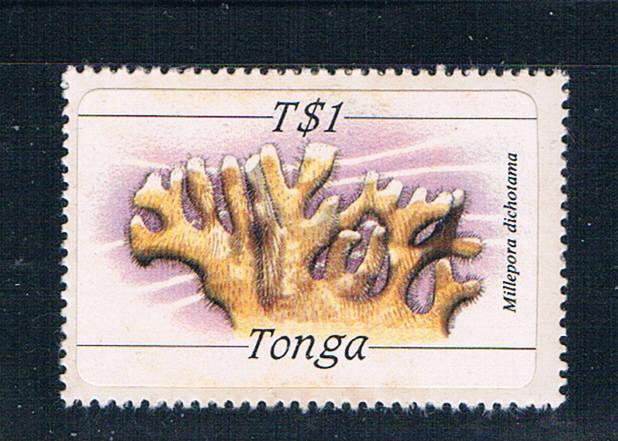 Tonga 576 MNH Self adhesive Coral 1984 (T0079)