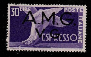 Italy,  Scott 1LNE2 AMG VG  MH*  Express mail stamp