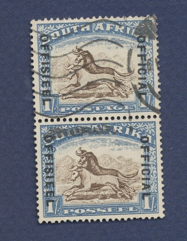 SOUTH AFRICA  - Scott O10  - used vertical pair - perf 14 - horse- - 1931 --c