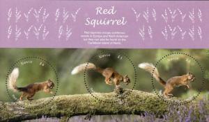 Nevis Wild Animals Stamps 2018 MNH Red Squirrel Squirrels Fauna 3v M/S