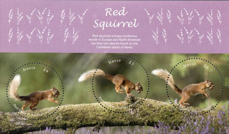 Nevis Wild Animals Stamps 2018 MNH Red Squirrel Squirrels Fauna 3v M/S