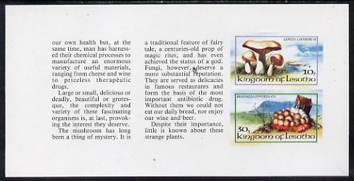 Booklet - Lesotho 1983 Fungi 10s & 30s values in unmo...