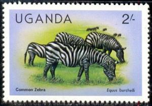 Zebras, Uganda stamp SC#286 MNH