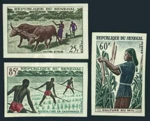 Senegal 250-252 imperf,MNH.Michel 307B-309B. Agriculture 1965.Ox team,Millet,