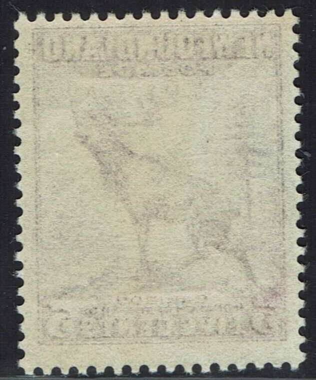 NEWFOUNDLAND 1941 CARIBOU 5C PERF 13½ MNH ** 