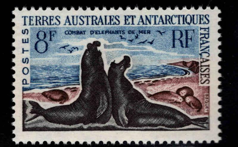 France Southern & Antarctic Territory FSAT Scott 22 MNH** 1963 Elephant Seals