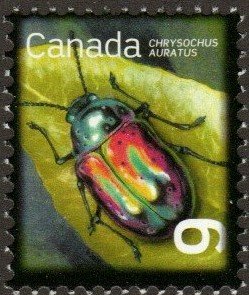 Canada 2410 - Mint-NH - 6c Dogbane Beetle (2010)