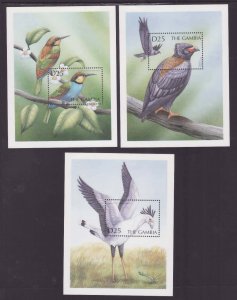 Gambia-Sc#2349-51- id9-unused NH sheets-Birds-2000- 