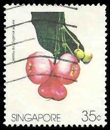 Singapore - #481 - Used - SCV-0.75