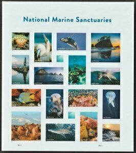 U.S.#5713 National Marine Sanctuaries 60c FE Pane of 16, MNH. Mini O/S ship fee.