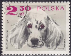 Poland 1640 English Setter 2.50zł 1969