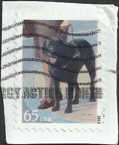 # 4604 USED SEEING EYE DOG