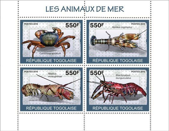 TOGO - 2010 - Sea Animals - Perf 4v Sheet - Mint Never Hinged