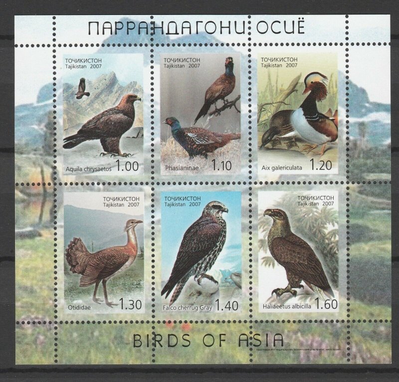 Tajikistan 2007 Birds MNH sheet 