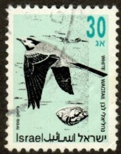 Israel 1135 - Used - 30a White Wagtail (1992)