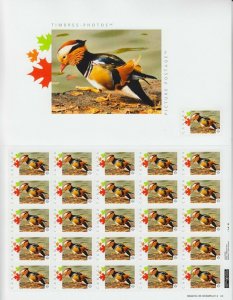 MANDARIN DUCK = Picture Postage Sheet 25+1 with ENLARGEMENT Canada 2014 [p75d1]