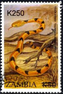 Tiger Snake, Zambia Stamp SC#996 used