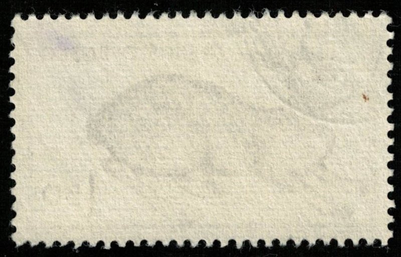 Animal Hare (T-5172)