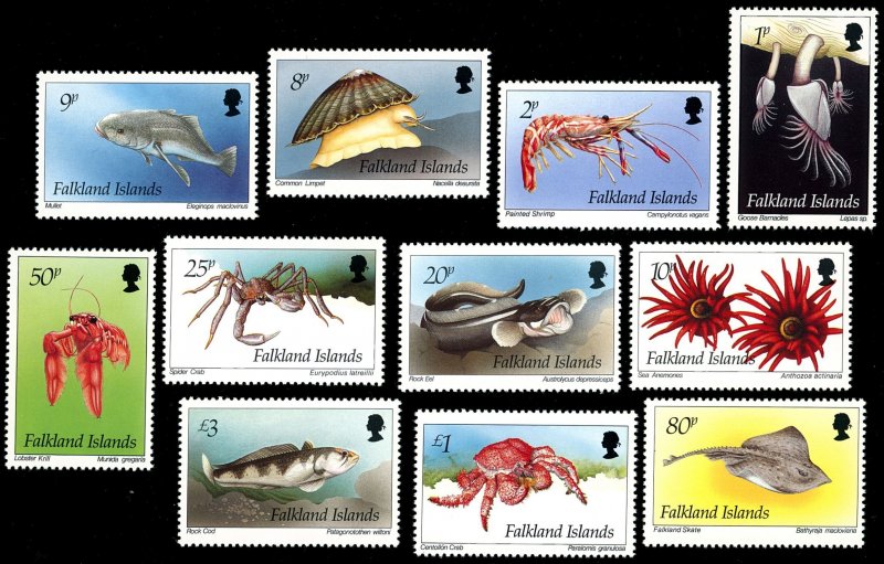 FALKLAND ISLANDS 598-608 VF/NH - Inshore Marine Life Short Set