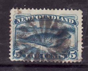 Newfoundland-Sc#55- id8-used 5c harp Seal-1894 - fancy cancel-