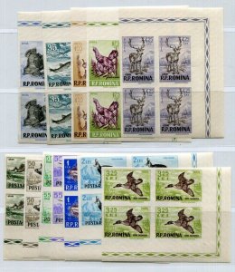 ROMANIA 1956 VERY GOOD ANIMALS IMPERFORATED BLOCKS OF 4 1082-1093 PERFECT MNH