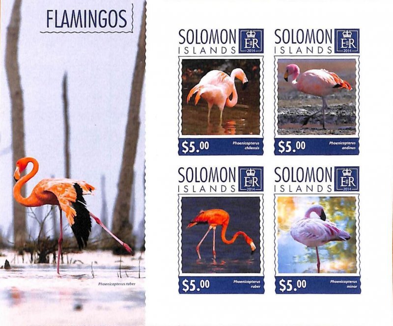 A7015 - SOLOMON ISLANDS, Error, 2014, IMPERF MINIATURE SHEET: Flamingos, Birds