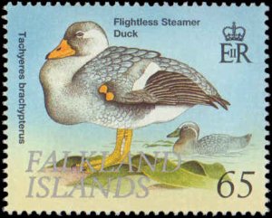 Falkland Islands #739-744, Complete Set(6), 1999, Birds, Never Hinged
