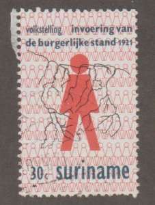 Suriname 390 Census