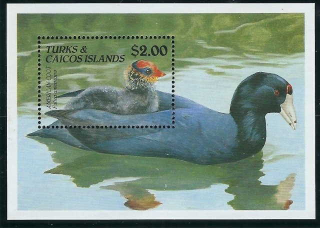 Turks and Caicos 868 MNH 1990 Ducks (ak5490)