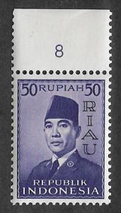 40,MNH Riau Archipelago