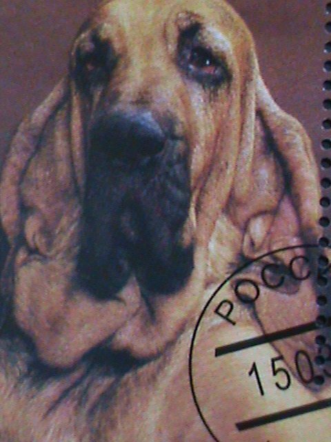 ​RUSSIA-TATAPCTAH- COLORFUL LOVELY BEAUTIFUL DOG- CTO S/S VERY FINE