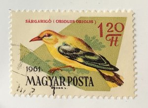 Hungary 1961 Scott 1430 used - 1.20Ft, bird,  Golden Oriole