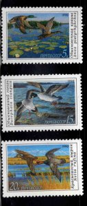 Russia Scott 5906-5908 MNH** Duck Conservation stamp set