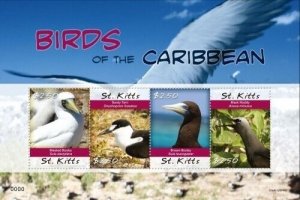 Saint Kitts 2010 - Birds - Sheet of 4 Stamps - Scott #749 - MNH