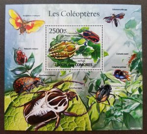 *FREE SHIP Comoros Insect 2011 Bug Flora Fauna Moth Butterfly Beetles  (ms) MNH