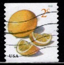 #5256 Meyer Lemons Coil (off Paper) - Used