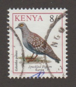 603 Birds - Kenya