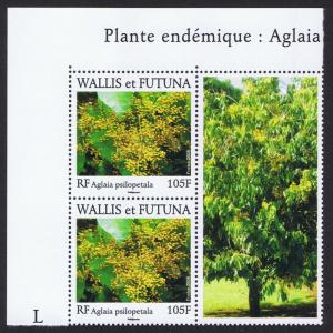 Wallis and Futuna Endemic Flora - Aglaia psilopetala Top Corner pair label