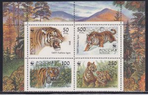 Russia 1993 Sc 6181a Panthera Tigris Two Cubs in Woods and Snow Stamp MNH