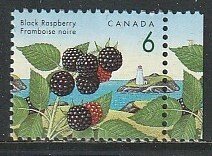 1992 Canada - Sc 1353 - MNH VF - 1 single - Berries - Black Raspberry