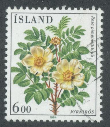 Iceland 586  F-VF  Used (2)