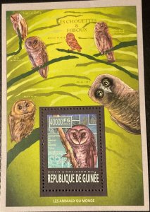 REPUBLIC OF GUINEA 2013. Owls & Owls of the World. Blades Block 1v. NHM-