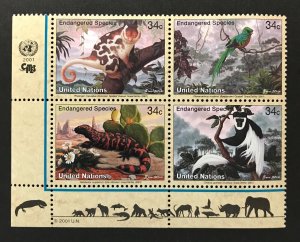 UN-New York - Endangered Species - 2001 - LL block - MNH