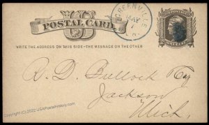 USA 1877 Michigan GREENVILLE Violet Cancel Postal Card Cover Advertising 96329